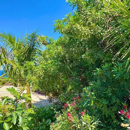 Casa Badana, Exclusiva Casa Privada Con Piscina Y Vistas Al Mar Dom wakacyjny La Orotava