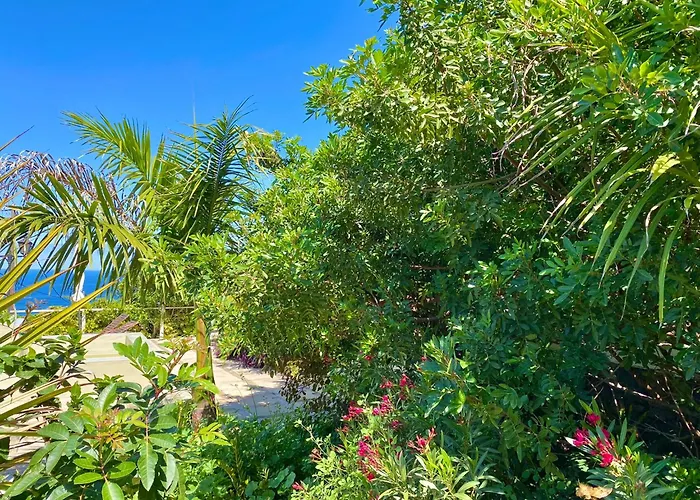 Casa Badana, Exclusiva Casa Privada Con Piscina Y Vistas Al Mar Vakantiehuis La Orotava