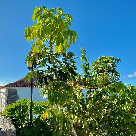 度假居 Casa Badana, Exclusiva Casa Privada Con Piscina Y Vistas Al Mar